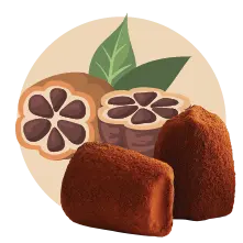 Cacao Nibs - bulk - Chocolate Truffles - WOW Chocolao!