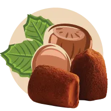 Hazelnut - bulk - Chocolate Truffles - WOW Chocolao!