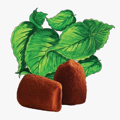 Mint chocolate truffles - bulk - WOW Chocolao!